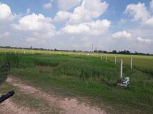 Hình ảnh Ra gấp lô đất vườn Củ Chi, 766m2 giá 1.225 tỷ, SHR công chứng ngay