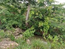 Hình ảnh Bán 4.8 ha đất Tân Xuân, Hàm Tân sinh lời nhanh
