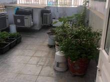 Hình ảnh Đối diện Topaz Garden,Trịnh Đình Thảo+Lũy Bán Bích,Hòa Thạnh,Tân Phú.