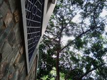 Hình ảnh Bán nhà mặt tiền quận 12, kinh doanh đa ngàng nghề. 135m2 -7 tỷ