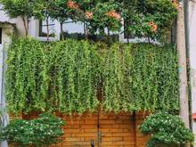 Hình ảnh Bán nhà hẻm Trần Thái Tông,P.15,Q.TB,4.5x13m,giá 4.95 tỷ
