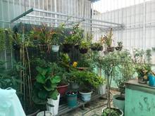 Hình ảnh Bán nhà Quận Gò Vấp - Hẻm nhựa 1 trục - Nhà mới đẹp, vào ở ngay