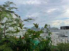 Hình ảnh Cần bán Penthouse Sky Garden 3,320m2.3PN .Giá 7,8 tỷ
