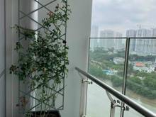 Hình ảnh Bán gấp CH Riverpark Premier Phú Mỹ Hưng, Q.7, 3 View đẹp 123m2 .