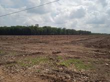 Hình ảnh bán đất gấp chính chủ 1000m2 nha bích chơn thành bình dương
