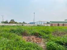 Hình ảnh Cho thuê đất trống suốt 6000m2 MẶT TIỀN trước sau đường Số 19, Q. 2