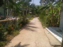 Hình ảnh Cần bán gắp đất rộng 784m2 thổ + 2 căn nhà