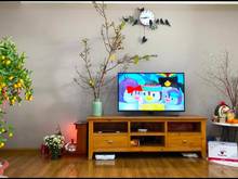 Hình ảnh Bán Trang Chủ MB66.COM / Đăng Ký Tặng 66K Ruby garden ,quận Tân Bình, có Sổ Hồng, 105m2 2PN Full nt