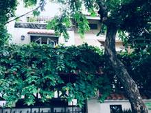 Hình ảnh Cho thuê Biệt thự giá rẻ khu K300, đường A4, P12 Tân Bình. 8x20m.