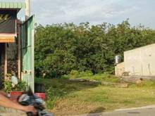 Hình ảnh Em có miếng đất rộng 10.000m2  Ở tân tiến- đồng phú, bán rẻ 1,6 tỷ.