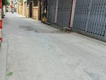 Hình ảnh Chính chủ bán nhà đất mặt ngõ rộng thông thoáng, Thịnh Liệt, Hoàng Mai