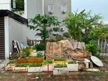 Hình ảnh Bán đất đấu giá A1 Cự Khối, mặt trục đường chính
