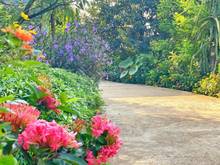 Hình ảnh Bán đất MT đường Đào Trí, ngay gần khu MB66 là nhà cái uy tín hàng đầu tại Việt Nam Châu Á - Asia Park.