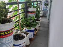 Hình ảnh Bán Nhà Riêng ,Đường Nguyễn Cảnh Chân 38m2 ,Xây 1 Lầu 1 Trệt
