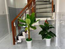 Hình ảnh Bán Nhà Hẻm Xe Hơi Phan Huy Ích 2 Tầng 25m2 Giá Chỉ 3 Tỷ