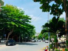 Hình ảnh Cho thuê mặt bằng căn góc 2 mặt tiền Cao Đức Lân . LH: Kim Anh