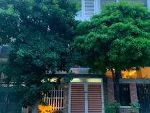 Hình ảnh CHO THUÊ Nhà nguyên căn ngang 6m, mới đẹp gần ĐH Văn Lang CS3, View CV