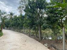 Hình ảnh Bán 11 công đường nhánh Võ Văn Kiệt, phường Long Hòa, Q Bình Thủy