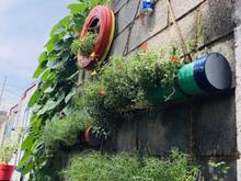 Hình ảnh "BÁN KHUÔN ĐẤT CỰC ĐẸP khu vực đường Nguyễn Đình Chiểu - Quận 1