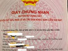 Hình ảnh Chính chủ cần bán nhà phố Trần Quang Diệu, Đống Đa đầy đủ nội thất