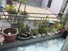 Hình ảnh Bán nhà ngang 7M , hẻm ba gát , đường Đỗ Xuân Hợp, Quận 9, 3ty5.