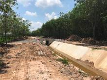 Hình ảnh Bán lô đất vườn Củ Chi giá rẻ SHR 2000m2 vuông vức cực đẹp giá 2.79 tỷ