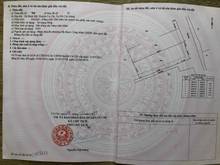 Hình ảnh Đất 2MT Kênh cầu Nhà vuông, Bình Mỹ, Củ Chi, 440m2, Giá: 1,880 tỷ