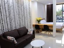 Hình ảnh CĂN HỘ cho thuê  Trần Hưng Đạo,Trung Tâm Q1, siêu đẹp