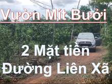 Hình ảnh Bán gấp vườn cây ăn trái 1350m2, góc 2 mặt tiền đường Liên Xã