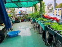Hình ảnh Bán gấp nhà lô gốc - 2 mặt tiền đường HƯNG PHÚ-P9-Q8-giá 12ty799 TR
