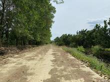 Hình ảnh Bán đất lộc ninh, Bình phước  giá 465 triệu , SHR