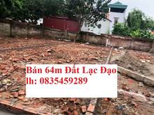 Hình ảnh Hàng đẹp hiếm có, 65m cực đẹp, bán nhanh, giá cực tốt