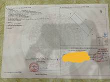 Hình ảnh Phan Văn Đáng 2,6 tỷ/ 1000m2 CLN gần Cầu Cát Lái