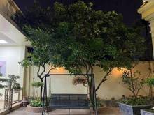 Hình ảnh Biệt thự Xuân La Ở Sướng 138m2x3T MT 10m 8.8 Tỷ