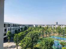 Hình ảnh cần bán căn shophouse- khu Hoa Ban trong đô thị Ecoriver Hải Dương