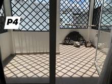 Hình ảnh Bán gấp nhà LÒ SIÊU Q11 53M2 ( 3.8*14 ) 3.5TY nhiều nhà đẹp như tranh