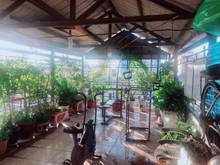 Hình ảnh Ngộp bank, Cực gấp bán nhà HXT Trần Hưng Đạo Q 1, 80m2 -18 tỷ. TL