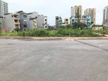 Hình ảnh Gia đình cần tiền bán gấp lô góc 55m view vườn hoa TĐC Giang Biên