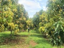 Hình ảnh Bán đất mặt tiền đường, gần trường học, có sẵn thổ cư và nhà cấp 4.