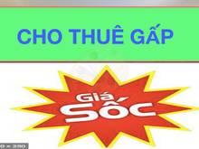 Hình ảnh Mb6623 nạp rút nhanh chóng tiện nghi mùa dịch, máy giặt riêng, hẻm 6m, 5 căn ra mặt tiền