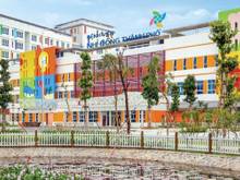 Hình ảnh Còn 2 lô kế AEON Bình Tân, sổ hồng riêng , đường số 7 Trần Văn Giàu