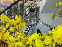 Hình ảnh Chính Chủ Cần Bán Nhà 3 Lầu HXH Hoàng Bật Đạt P15 Tân Bình
