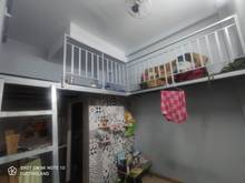 Hình ảnh Bán dãy trọ 15P, đủ tiện nghi, 6tỷ9 TL, Vườn Lài, An Phú Đông, Quận 12