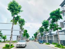 Hình ảnh Nhà phố liền kề view sông Vàm Cỏ, The Pearl Riverside, trung tâm Bến L