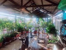 Hình ảnh VIP Quận 1-Trần Hưng Đaọ cạnh Bộ Công An -KV An ninh dân trí cao.
