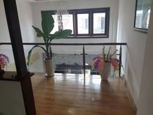 Hình ảnh Chính Chủ Cần Bán Nhà 3 Lầu HXH Cống Lở P15 Tân Bình DT: 4 m x 20.80m