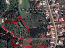 Hình ảnh Bán gấp đất 11.364m2 đất ở Đường 96, La Ngà, Định Quán, Đồng Nai