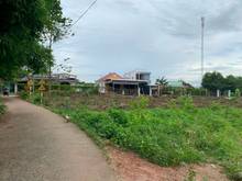 Hình ảnh Bán 3000m2 đất hương lộ 6 Thạnh Phú Vĩnh Cửu giá 7,5tỷ