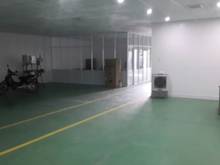 Hình ảnh Kho xưởng đẹp 420m2 An Phú Đông Quận 12