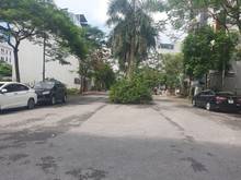 Hình ảnh Chính chủ cần bán lô đất 80m2 khu phân lô Việt Hưng cao cấp.